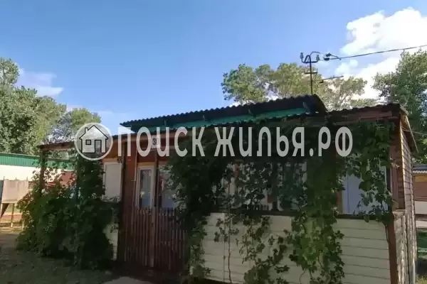 «Белый лебедь»