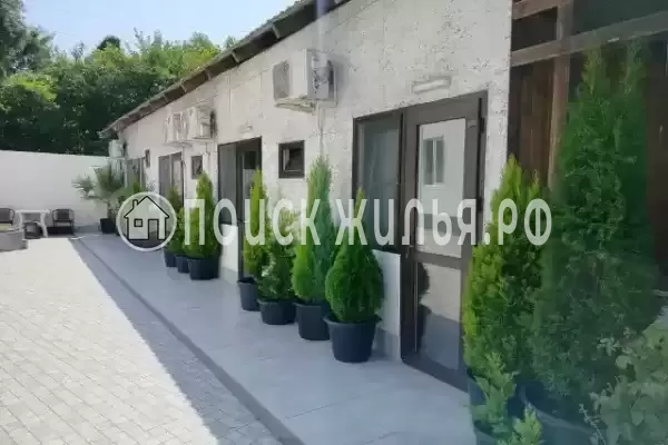 «Белый парус»