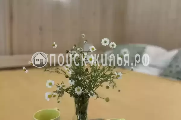 «Villa-Stella» «Villa-Stella»