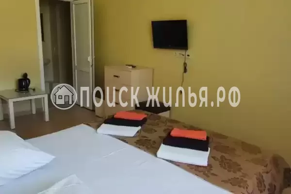 «Тюльпан» «Тюльпан»