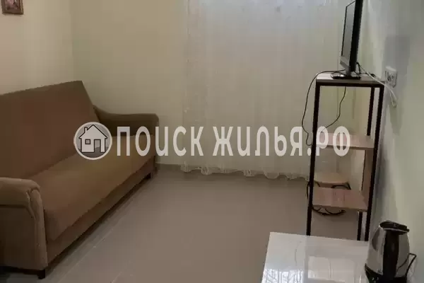 «Тюльпан» «Тюльпан»