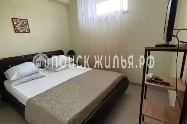 «Тюльпан» «Тюльпан»