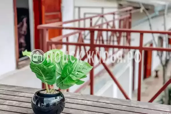 База отдыха «Динамо 2»