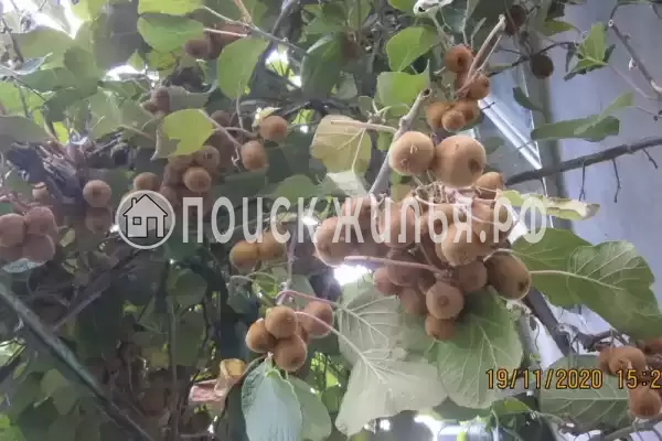 Частный сектор «Частный дом у моря»