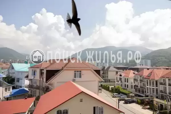 «На Единства» «На Единства»