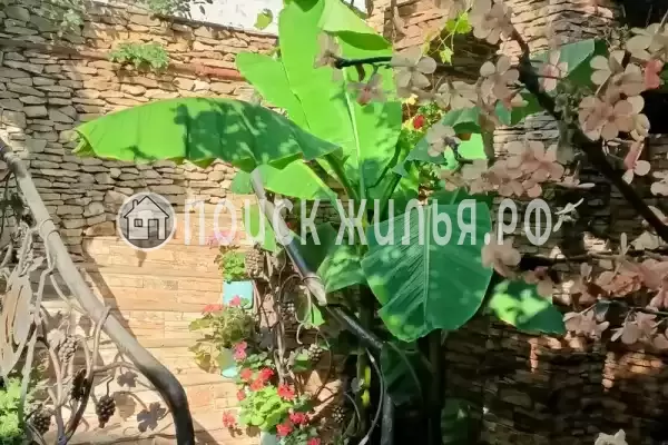 Частный сектор «Доходный дом Маргаритка» Частный сектор «Доходный дом Маргаритка»