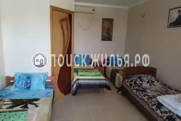 «Сафари» «Сафари»