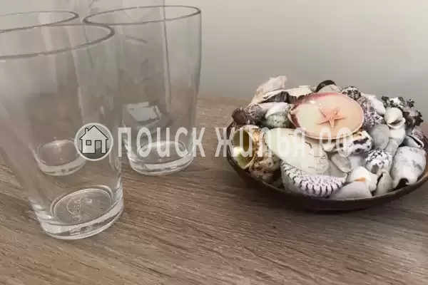 «Дом в лесу»