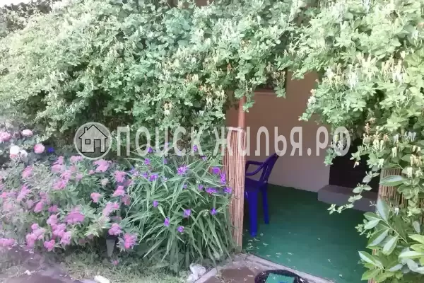 «Орловка» «Орловка»