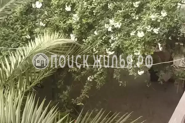 Гостевой дом «Агава» Гостевой дом «Агава»