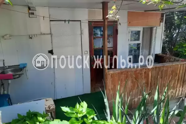 «Орхидея» «Орхидея»