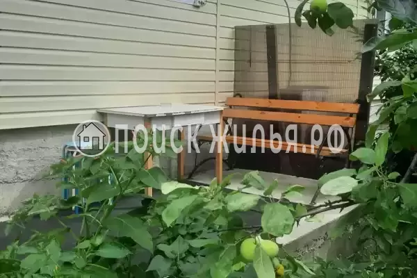 «Орхидея» «Орхидея»