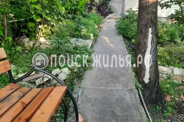 «Орхидея» «Орхидея»