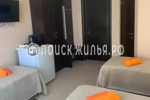 «Приветливый» «Приветливый»