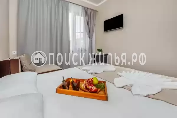 Отель «Taminik» Отель «Taminik»