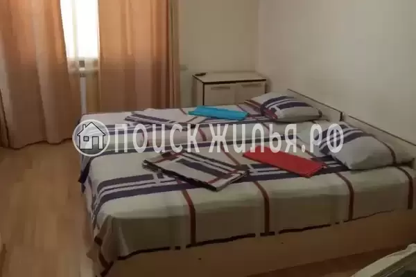 «Дельфин на ленинградской»