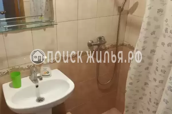 «Дельфин на ленинградской»