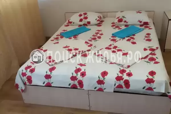 «Дельфин на ленинградской»