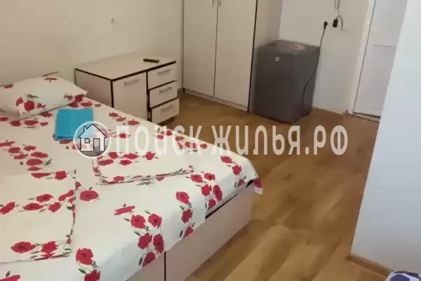 «Дельфин на ленинградской»