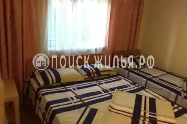 «Дельфин на ленинградской»