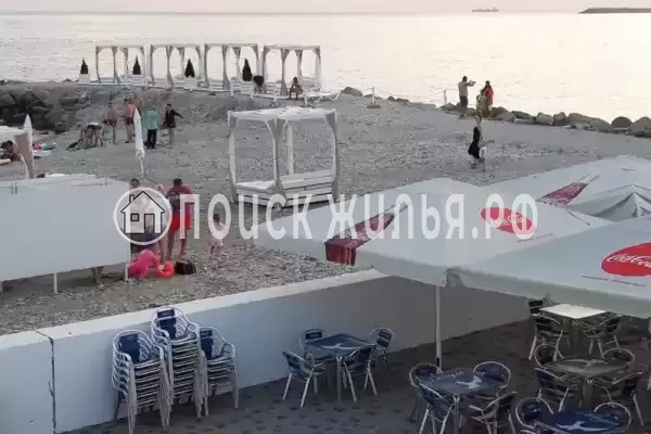 «Вишнёвый сад»