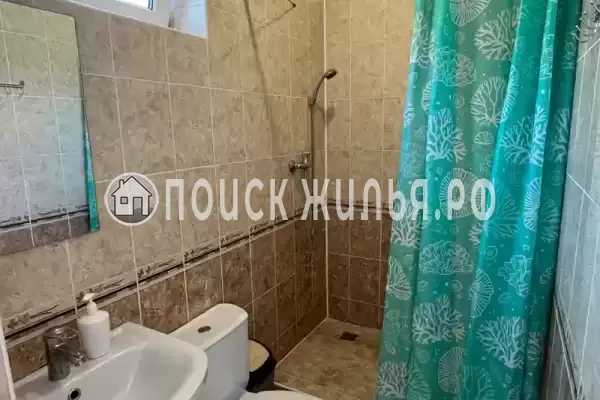 «Золотая лоза»