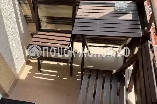 «Золотая лоза»