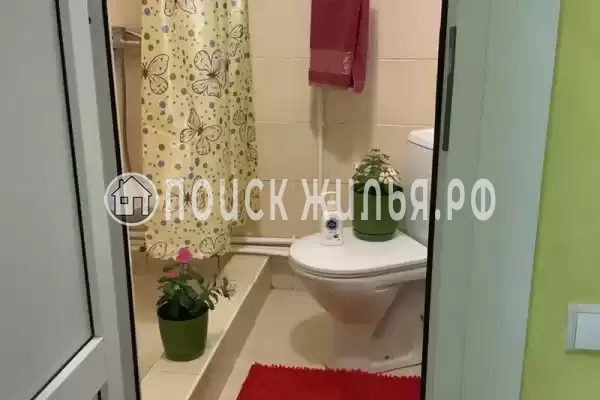 «Александрия»