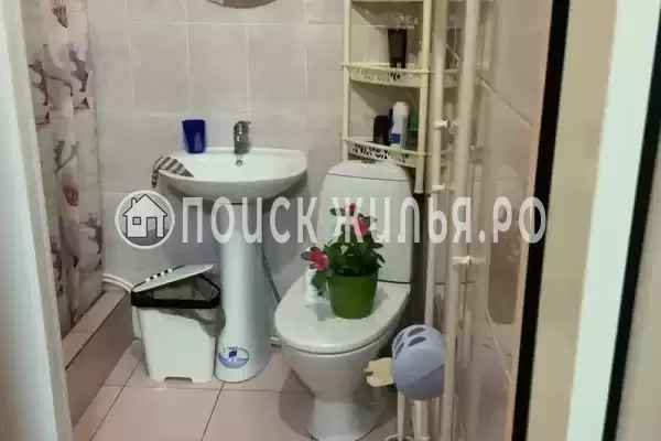 «Александрия»