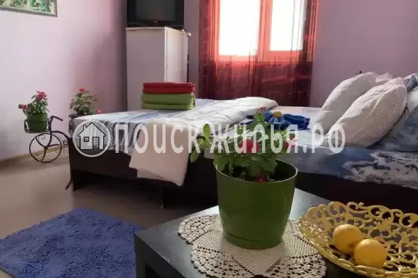 «Александрия»