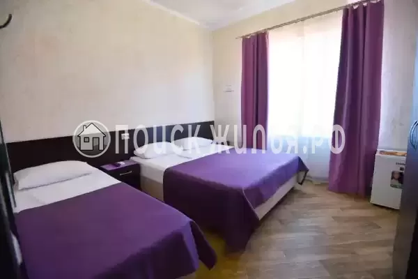 «Леди Ди» «Леди Ди»