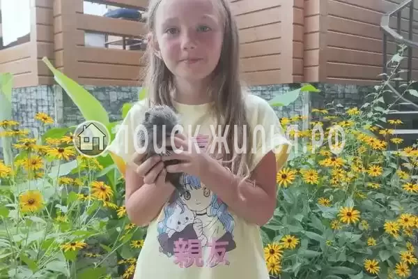 Частный сектор «Коттедж под ключ» Частный сектор «Коттедж под ключ»