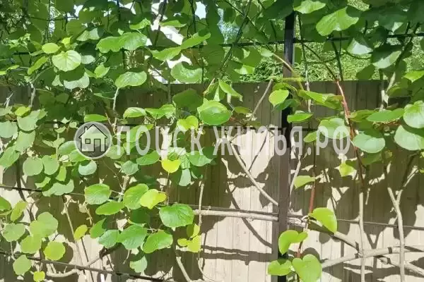 Частный сектор «Коттедж под ключ» Частный сектор «Коттедж под ключ»