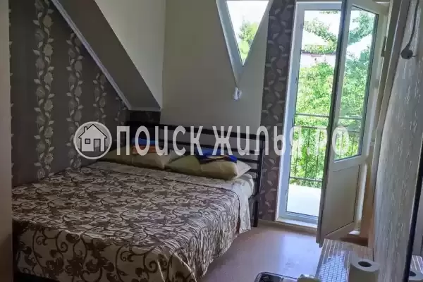 «Живой уголок» «Живой уголок»