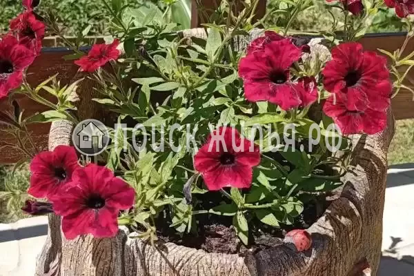 Частный сектор «Домик под ключ У Элени»