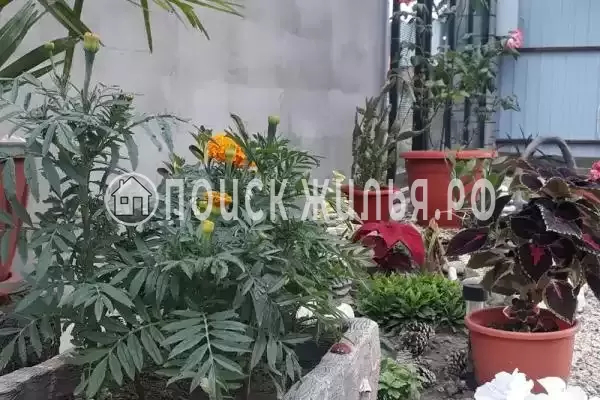 Частный сектор «Домик под ключ У Элени»