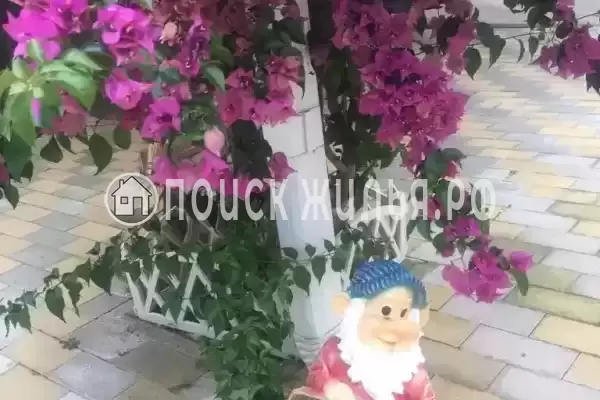 Гостевой дом «Ламэр»