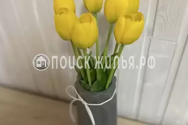 Гостевой дом «Эва» Гостевой дом «Эва»