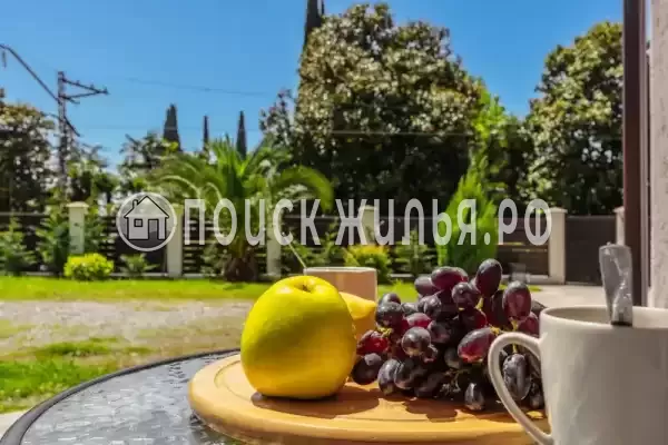 Отель «Афалина» Отель «Афалина»