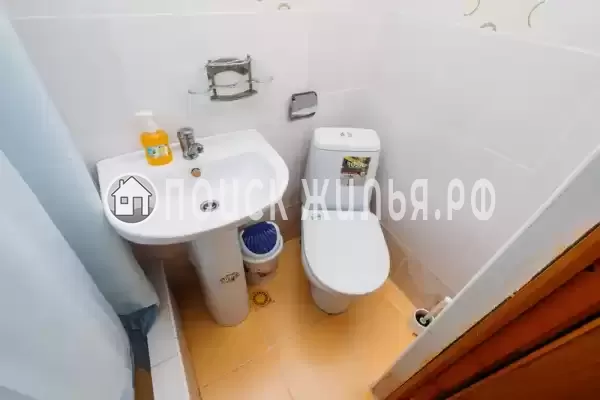 Пансионат «Поющие в терновнике»