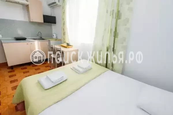 Пансионат «Поющие в терновнике»