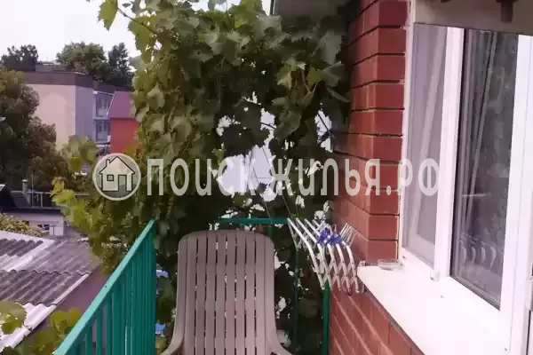 «Под шелковицей» «Под шелковицей»