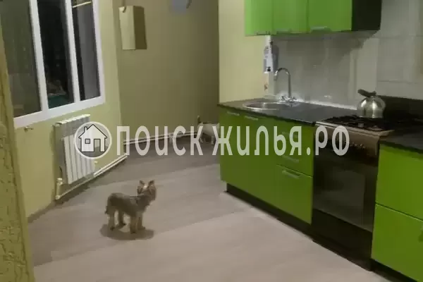 «Под шелковицей» «Под шелковицей»