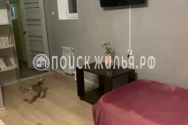 «Под шелковицей» «Под шелковицей»