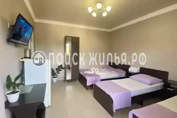 «Маргарита» «Маргарита»