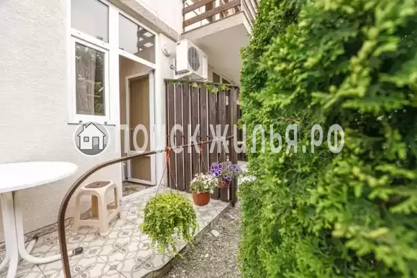 «Олимп» «Олимп»