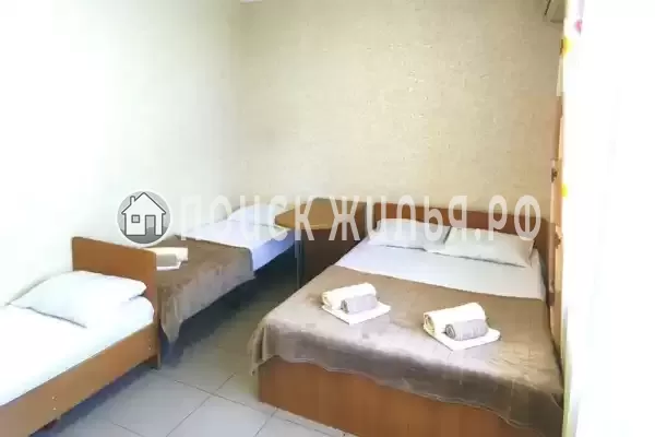 «Цитрус Plus»