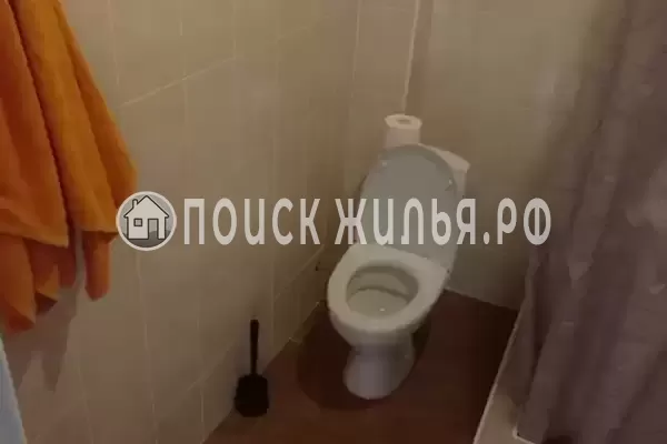 «Буревестник» «Буревестник»