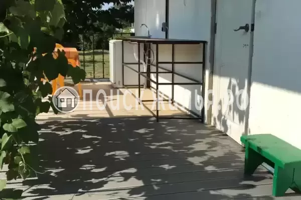 «Кот и овсянка»