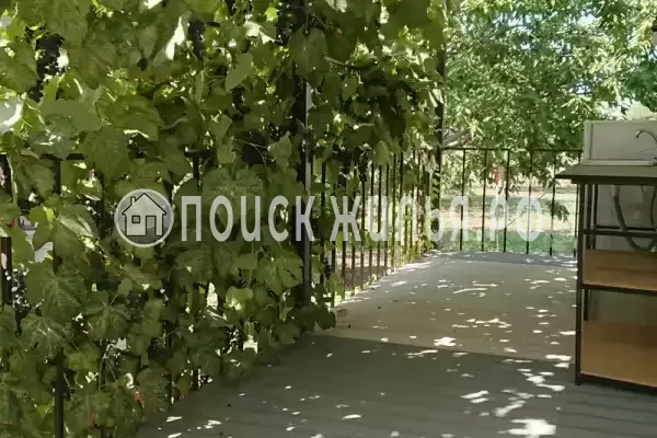 «Кот и овсянка»